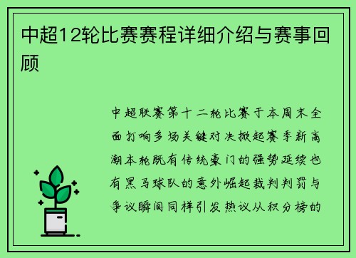 中超12轮比赛赛程详细介绍与赛事回顾